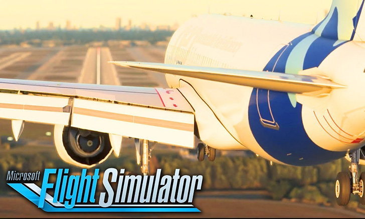 Microsoft Flight Simulator